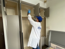 偏方真的能除甲醛嗎？