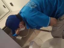 地毯也會引起甲醛超標嗎?